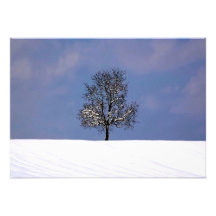 Single-Baum im Schnee Individuelle Einladungskarte