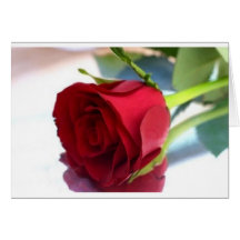 Single-Rote Rose Karten