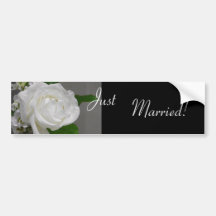 Single-weiße Rose, die Stoßaufkleber Wedding ist Autoaufkleber