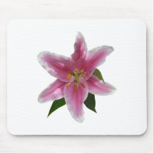 Singlestargazer-Lilie Mousepad