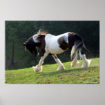 Sinti und Roma Vanner Plakat