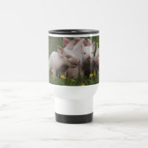 Sitzung der drei kleinen Schweine Kaffeetassen