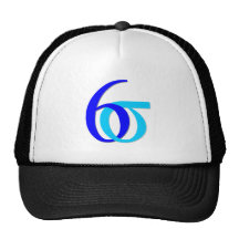 six sigma netzcap