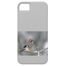 Skapa Egna iPhone 5 Cases