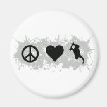 Skateboarding 1 magnete