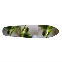 Skater Personalisierte Decks