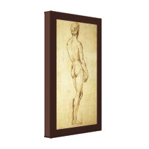 Skizze von Michelangelos David-Statue durch RAPHAE Gespannte Galerie Drucke