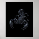Skorpion Posterdrucke