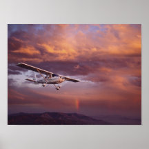 Skyfire Skycatcher Plakat