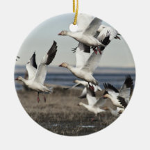 Snow Geese In Flight Ornament