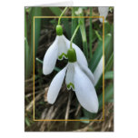 Snowdrops mit Goldgrenze Karte