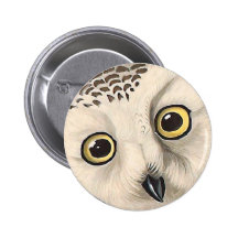 Snowy-Eule, John James Audubon Buttons