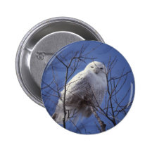 Snowy-Eulen-Knopf Anstecknadel