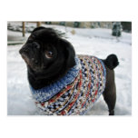 Snowy-Strickjacke-Mops-Postkarte