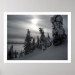 Snowy-Tage Poster