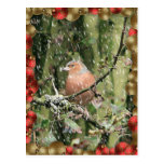 Snowy-Weihnachten Postkarten