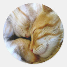 Snuggle-Kätzchen-Aufkleber