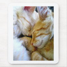 Snuggle-Kätzchen Mousepad