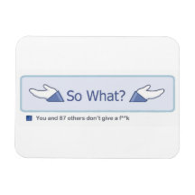 So was? (Facebook Knopf) Magnete