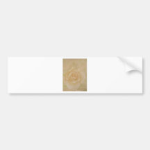 Soft Elegant Romantic Golden Autumn Rose Bumper Stickers