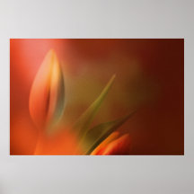 SoftlyTulips Plakatdrucke