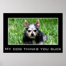 Sogar weiß mein Hund, dass Sie sind zum Kotzen Posterdruck