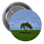 SoloTree Anstecknadelbuttons
