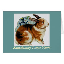 Somebunny Lieben Sie!! Grußkarte