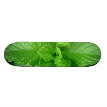 SOMMER-BLÄTTER SKATE BOARD