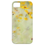 Sommer-Einladung iPhone 5 Etui
