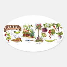 Sommer-Garten Botanicals Ovaler Aufkleber