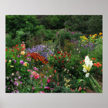 Sommer-Garten Posterdruck