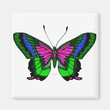 Sommer-helle Farben 5 Magnets