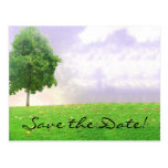Sommer-/Herbst-Baum "Save the Date" Postkarte