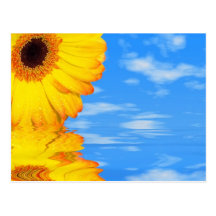 Sommer-Postkarte