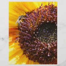 Sommer-Sonnenblume Flyerbedruckung