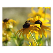 Sommer-Summen-Sammlung 2 Foto Drucke