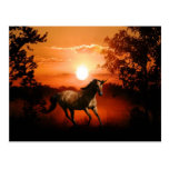Sonnenaufgang-Einhorn Postkarten