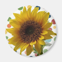 Sonnenblume auf Punkten Magnete