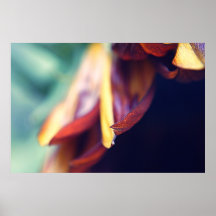 Sonnenblume-Blumenblatt-Druck Plakat