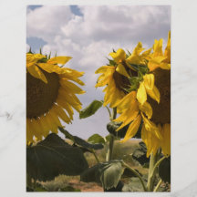 Sonnenblume-Bündel Personalisierte Flyer