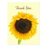 Sonnenblume danken Ihnen Postkarte