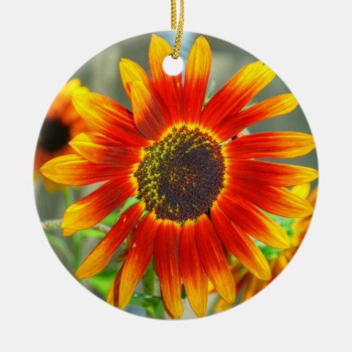 Sonnenblume der Sternexplosion-118HD Weinachtsornamente