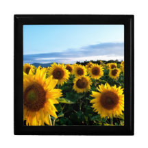 Sonnenblume-Feld Modeschmuckschachteln