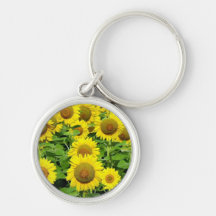 Sonnenblume-Felder Schlüsselbänder