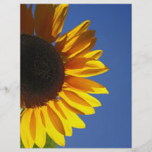 Sonnenblume Flyerbedruckung