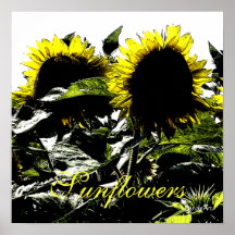 Sonnenblume Giants "botanisch " Plakatdruck