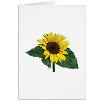 Sonnenblume im Regen Karte