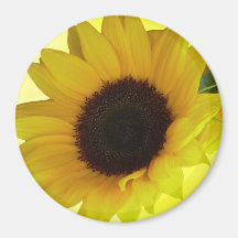 Sonnenblume-Kühlschrankmagnet-nettes Blumen-Gesche