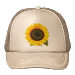 Sonnenblume Netzkappe